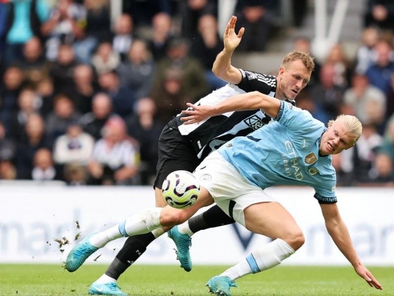 binh-luan-vien-hoa-long-1