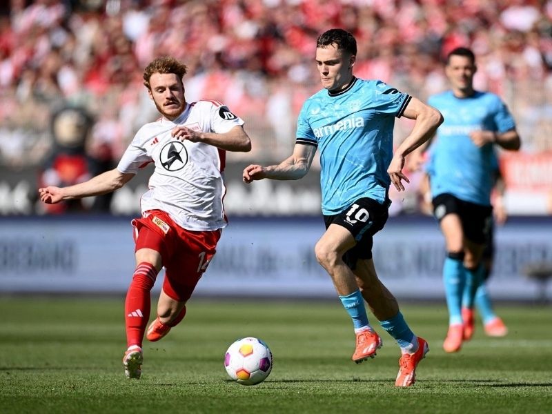 binh-luan-vien-hoa-long