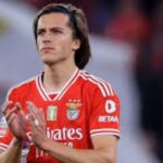 hau-ve-alvaro-fernandez