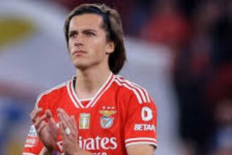 hau-ve-alvaro-fernandez