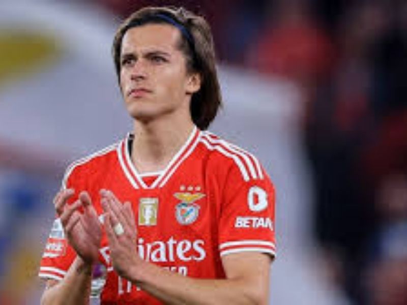 hau-ve-alvaro-fernandez