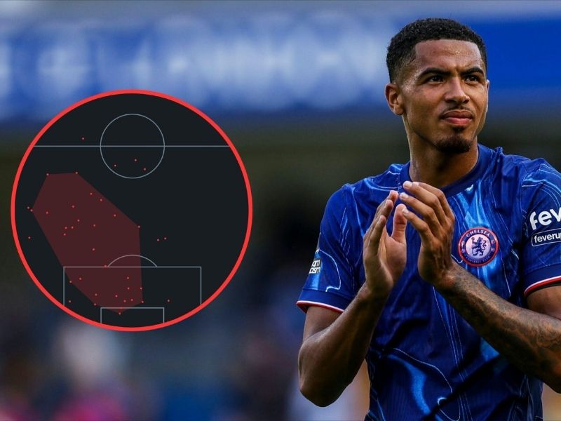 hau-ve-levi-colwill-2