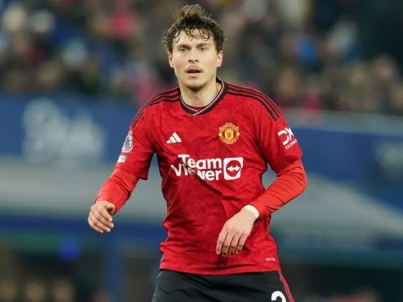 hau-ve-victor-lindelöf