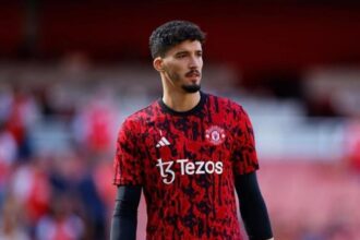 thu-mon-altay-bayındır