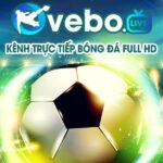 vebo-tv